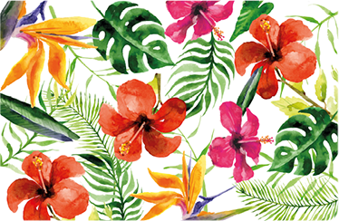 Tapete vinílico flores e plantas monstera colorida - TenStickers