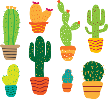 Tapete vinílico flores e plantas cactos coloridos - TenStickers