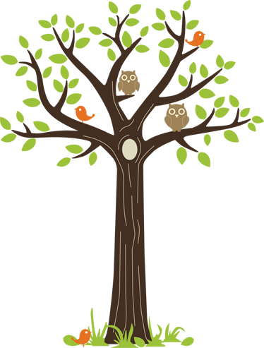 Tapete vinílico flores e plantas corujas e árvores - TenStickers