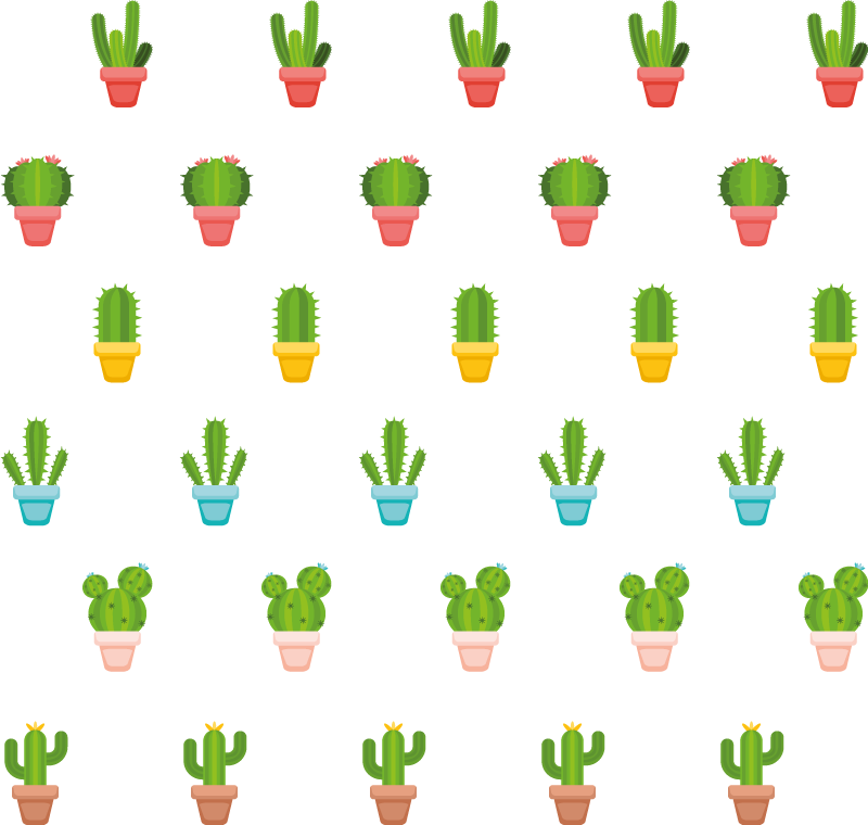 Tapete vinílico flores e plantas com estampa de cactos - TenStickers
