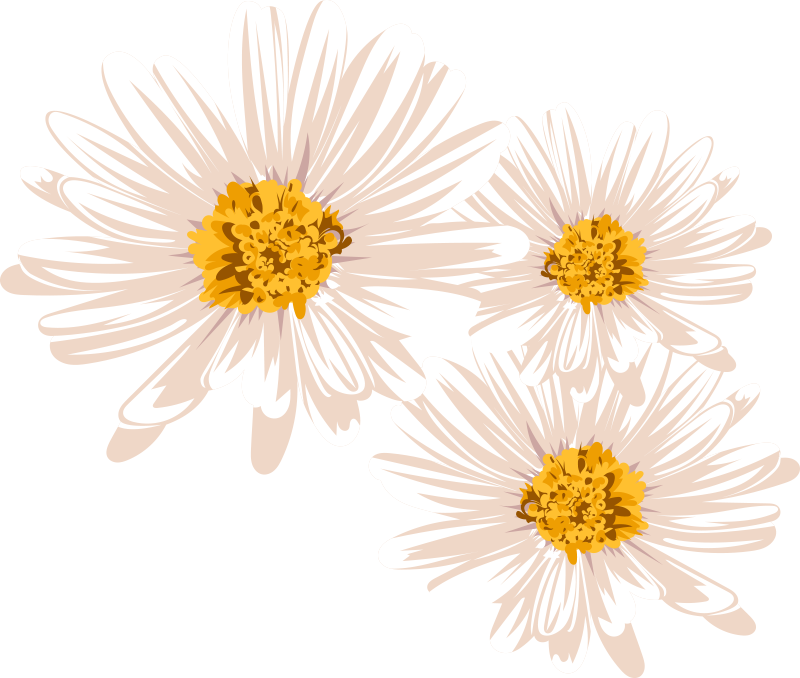 Tapete vinílico flores e plantas arranjo floral encantador - TenStickers