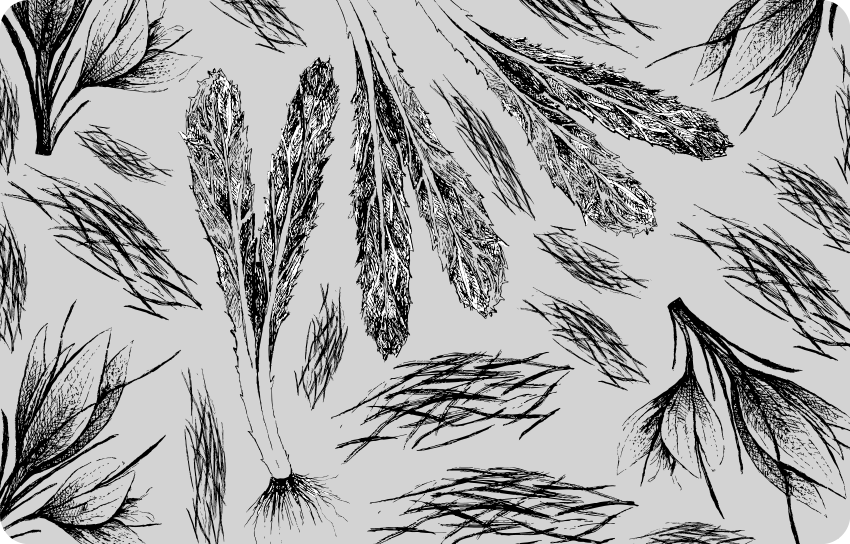 Tapete vinílico flores e plantas padrão cinza seco - TenStickers