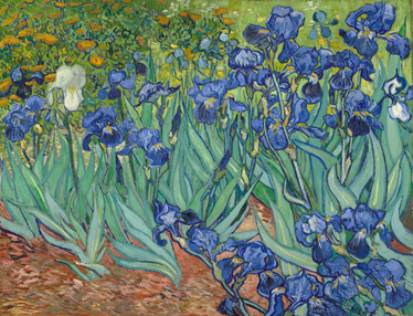 Tapete vinílico flores e plantas de van gogh - TenStickers