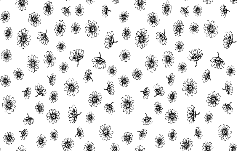 Tapete vinílico flores e plantas contorno margaridas - TenStickers