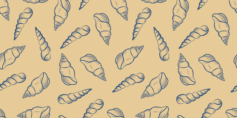 Tapete vinílico flores e plantas composição de conchas - TenStickers