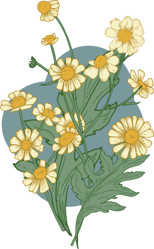 Tapete vinílico flores e plantas composição florescente - TenStickers