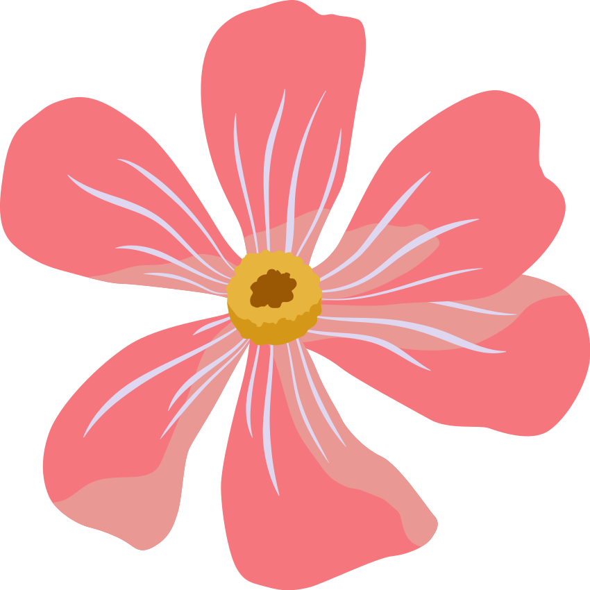 Tapete vinílico flores e plantas design floral rosa - TenStickers