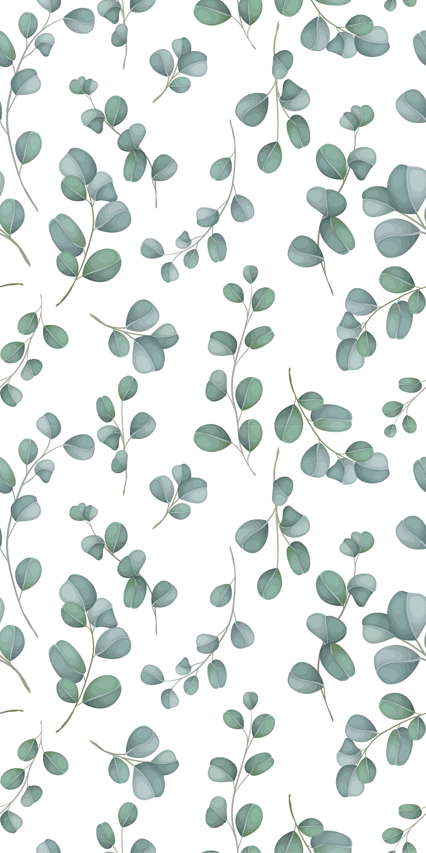 Tapete vinílico flores e plantas design eucalipto - TenStickers