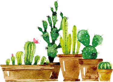 Tapete vinílico flores e plantas jardim de cactos artesanal - TenStickers