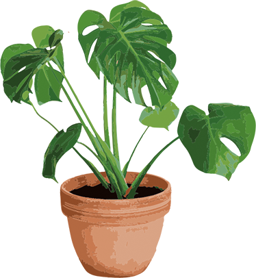 Tapete vinílico flores e plantas vaso monstera simples - TenStickers