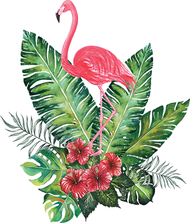 Tapete vinílico flores e plantas grande flamingo tropical - TenStickers