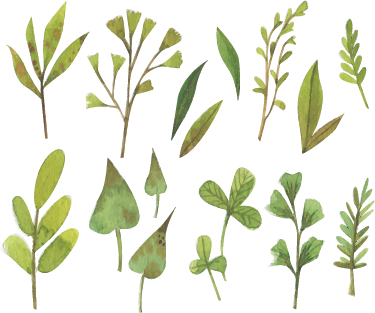 Tapete vinílico flores e plantas folhas pequenas aquarella - TenStickers