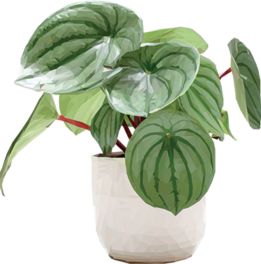 Tapete vinílico flores e plantas simples para casa - TenStickers