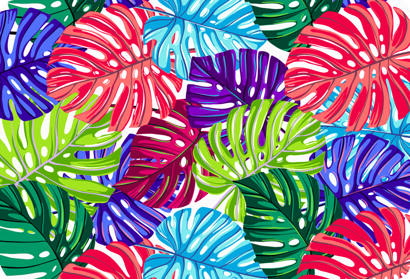 Tapete vinílico flores e plantas monstera tropical - TenStickers