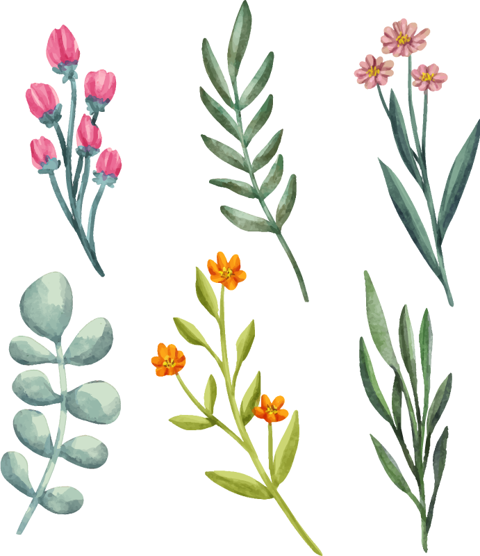 Tapete vinílico flores e plantas ramos de plantas - TenStickers