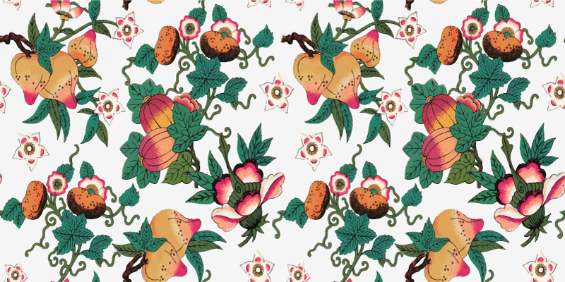 Tapete vinílico flores e plantas estampa verão multicolorida - TenStickers