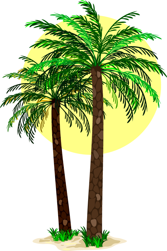 Tapete vinílico flores e plantas palmeiras tropicais - TenStickers