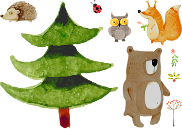 Tapete vinílico criança animais da floresta selvagem - TenStickers