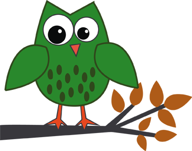 Tapete vinílico criança coruja verde na rama - TenStickers