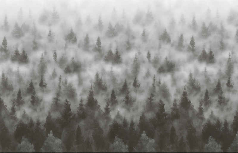 Tapete vinílico quarto montanha nebulosa 3d - TenStickers