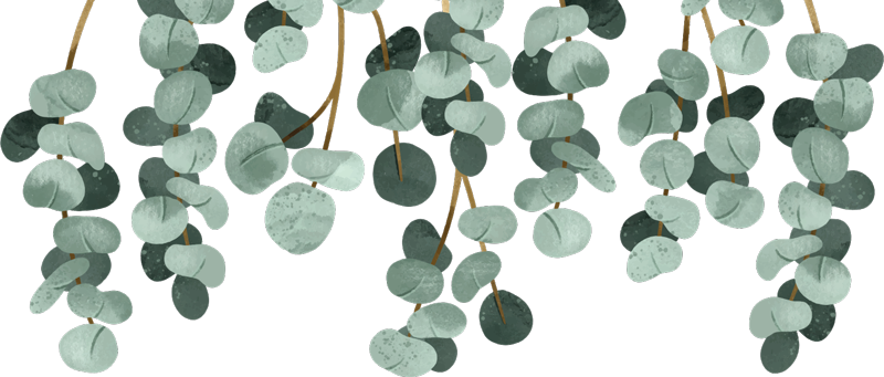 Tapete vinílico quarto e plantas pendentes - TenStickers