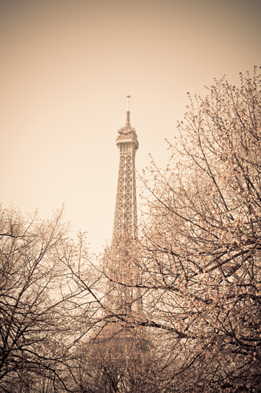 Tapete vinílico quarto torre eiffel com árvores - TenStickers