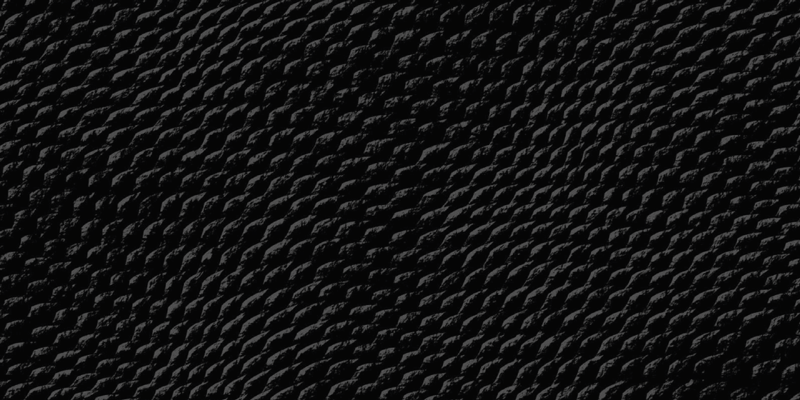 Tapete de vinil estampado pele de cobra preta - TenStickers