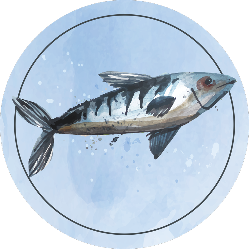 Abstrato mar comida animal vinil tapete - TenStickers