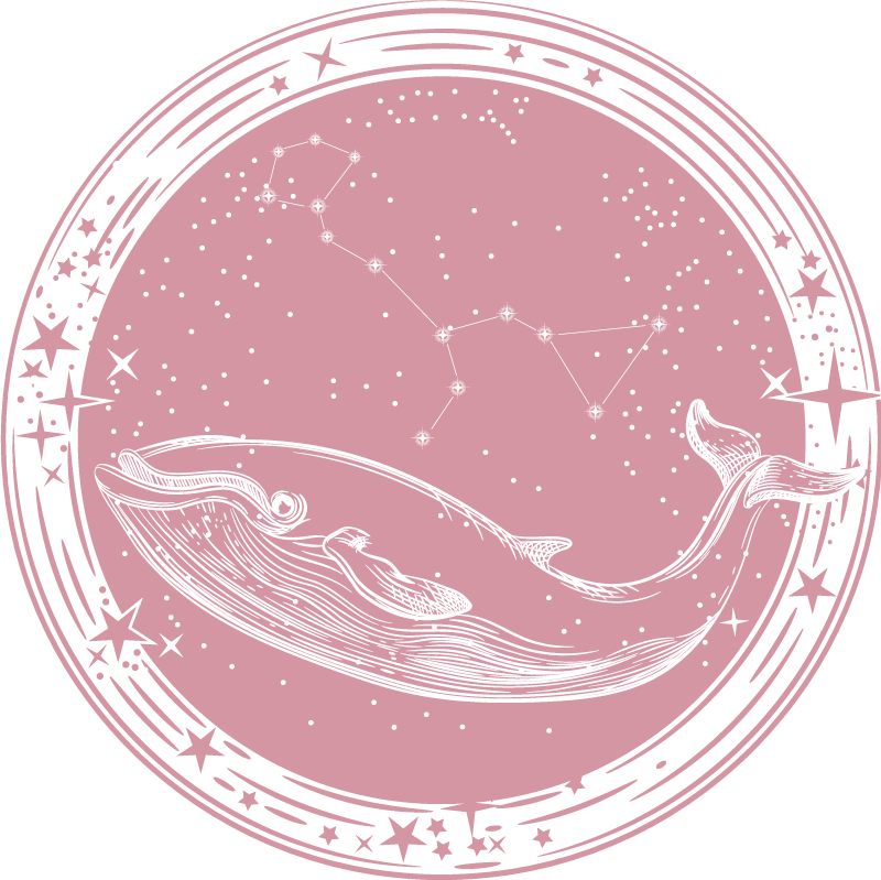tapete de vinil infantil Baleia rosa e estrelas - TenStickers