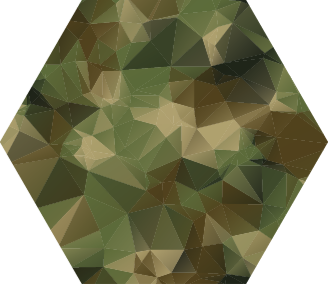 Tapete de vinil de camuflagem geométrica - TenStickers