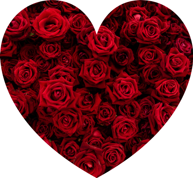 Tapete de vinil floral cheio de rosas - TenStickers