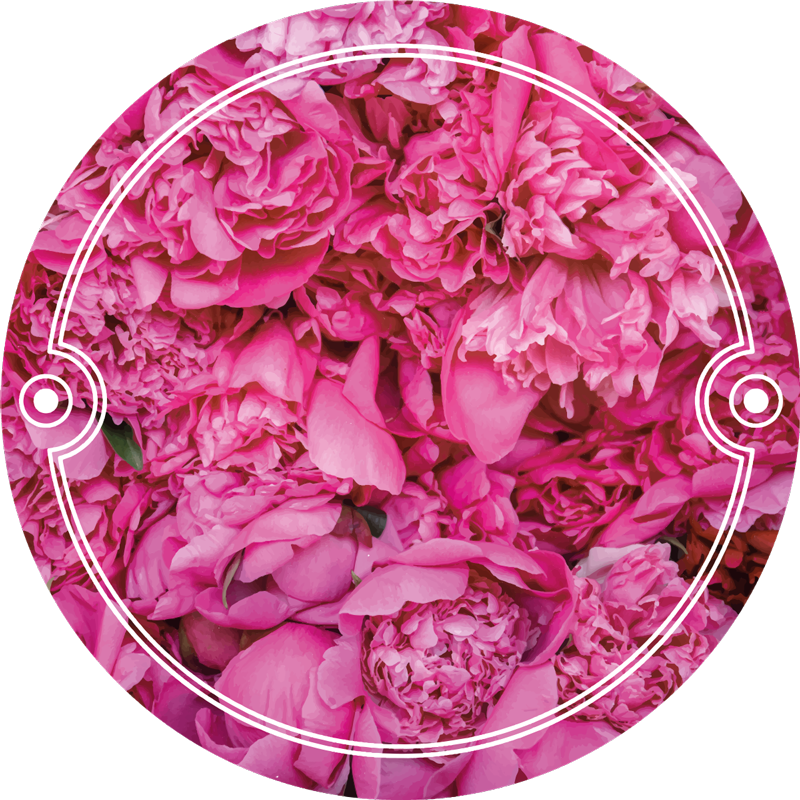 Tapete de vinil floral peônias - TenStickers