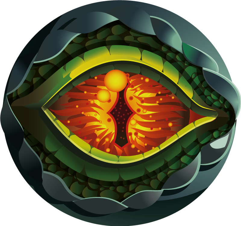 Olho de dinossauro produtonatural tapete animal - TenStickers