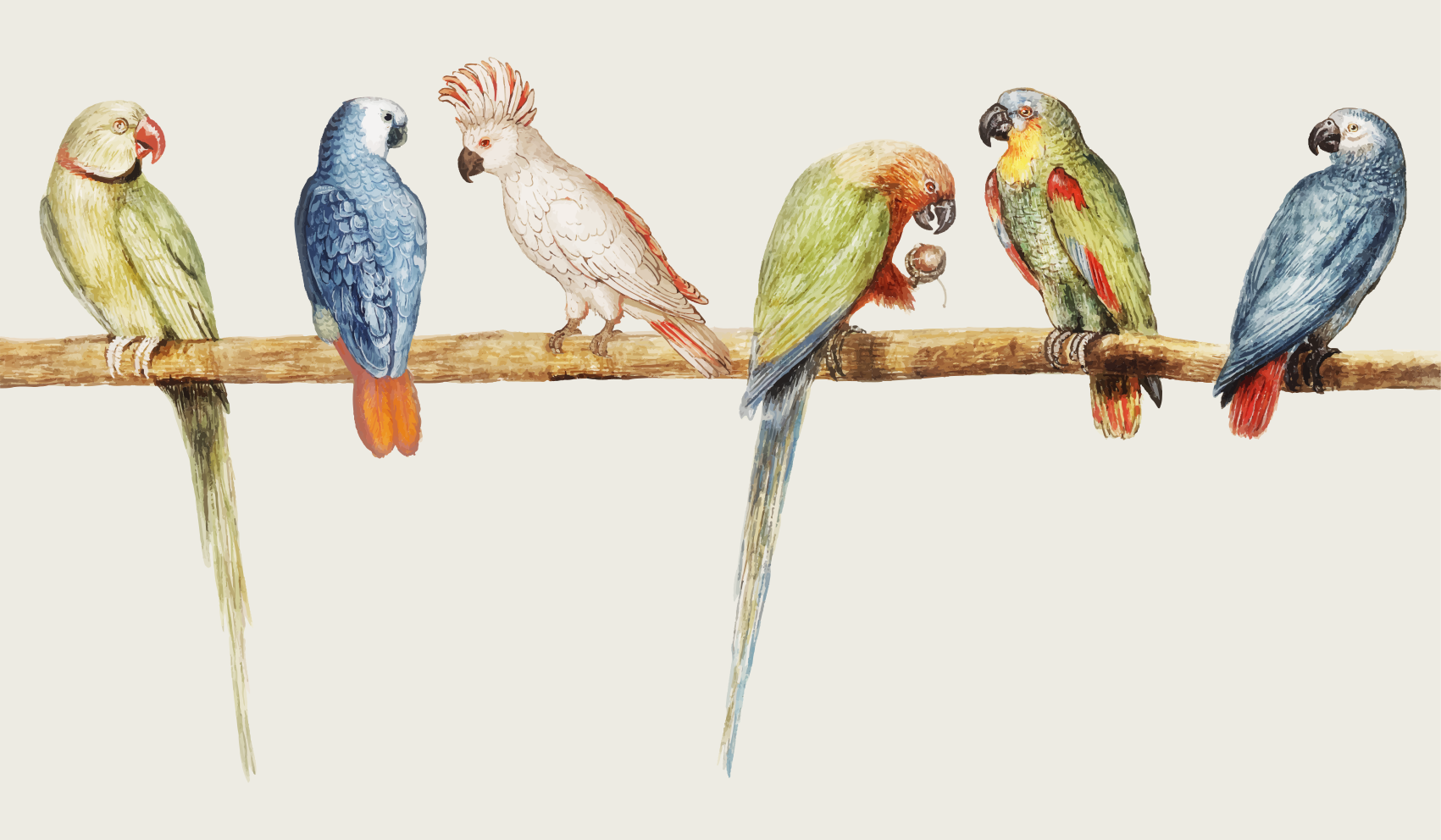 Cinza moderno com pássaros e ramos tapete floral - TenStickers