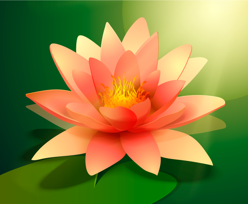 Lotus com sombra floral vinil tapete - TenStickers