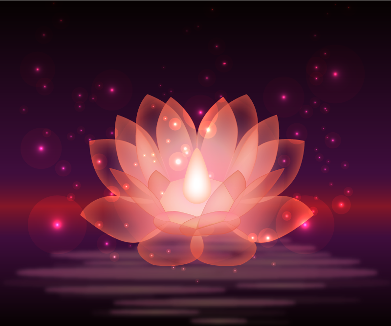 Tapete de vinil floral brilhante de lótus - TenStickers