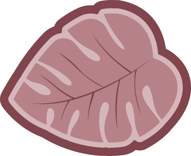 Tapete floral de folha de monstro rosa - TenStickers