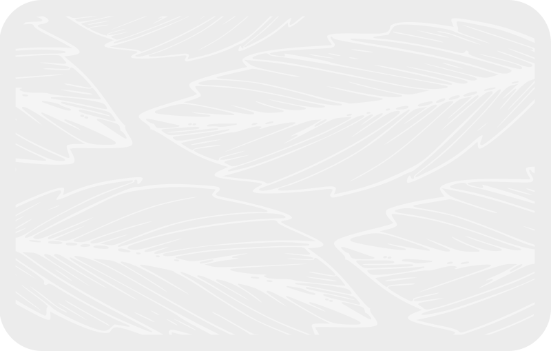 Tapete vinílico natureza padrão de impressão de penas - TenStickers