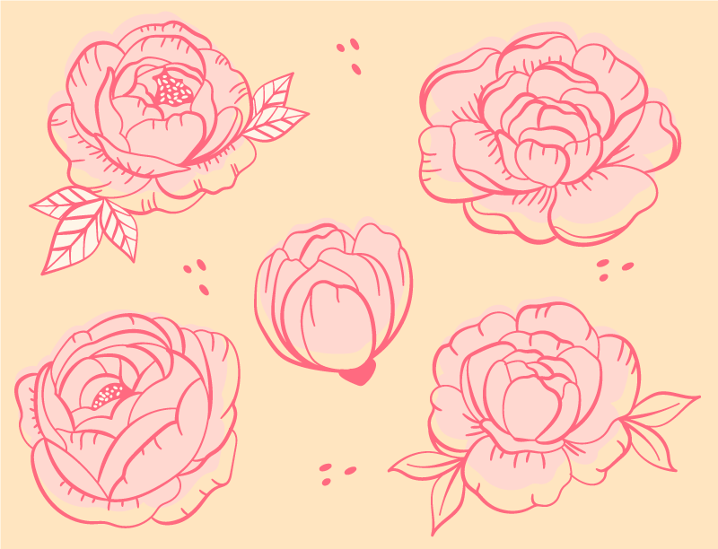 Tapete vinílico flores e plantas motivo floral rosa - TenStickers