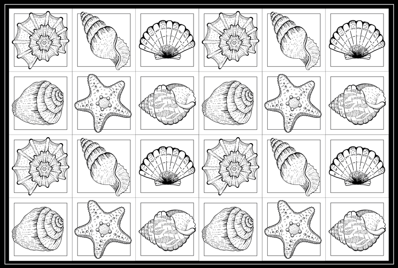 Tapete vinílico natureza arte em conchas - TenStickers