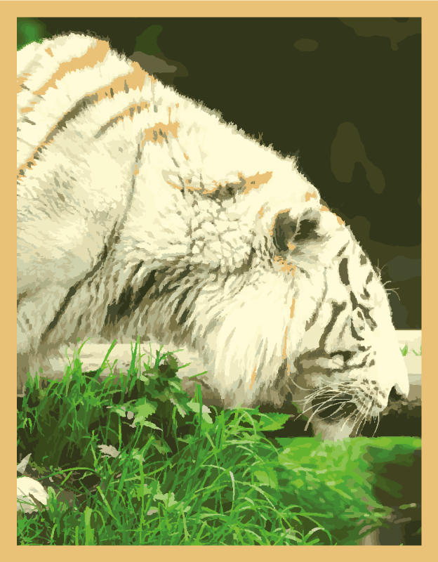 Tapete de vinil animal tigre branco - TenStickers