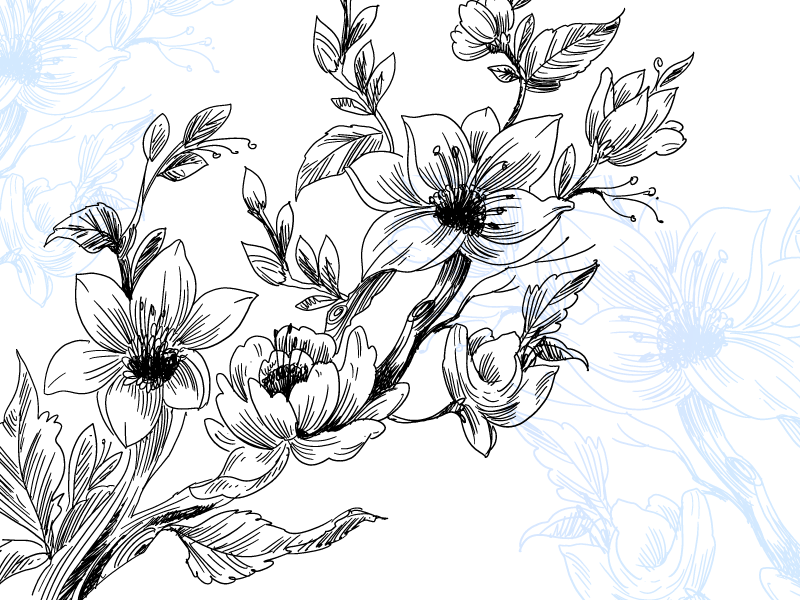 Tapete vinílico flores e plantas conceito de flor azul - TenStickers