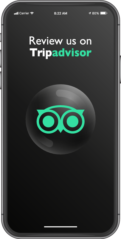 Tapete vinílico promoção avalie-nos no tripadvisor - TenStickers