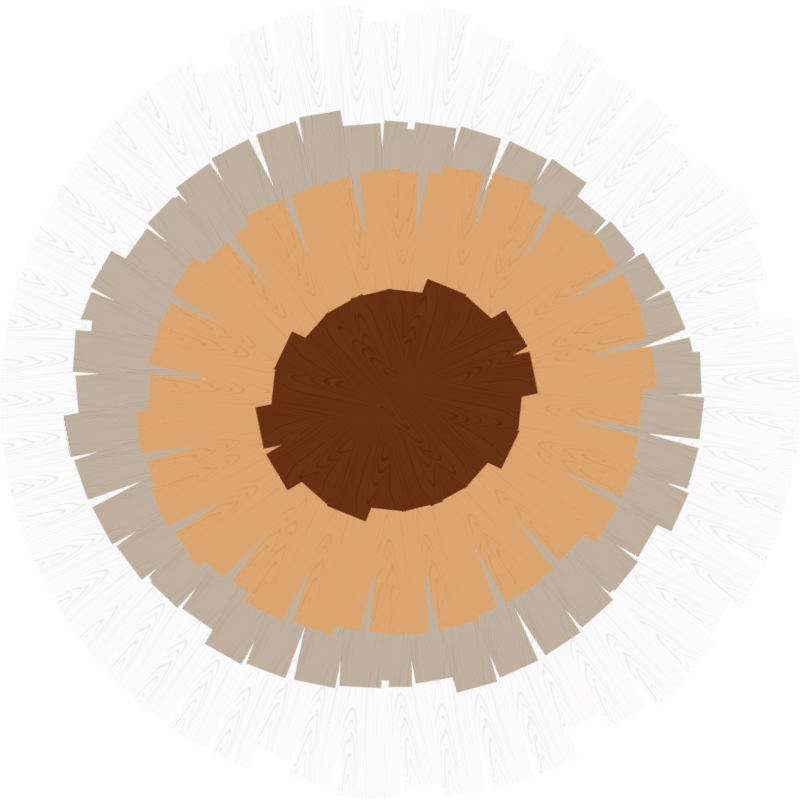 Tapete vinílico madeira design de tronco circular - TenStickers