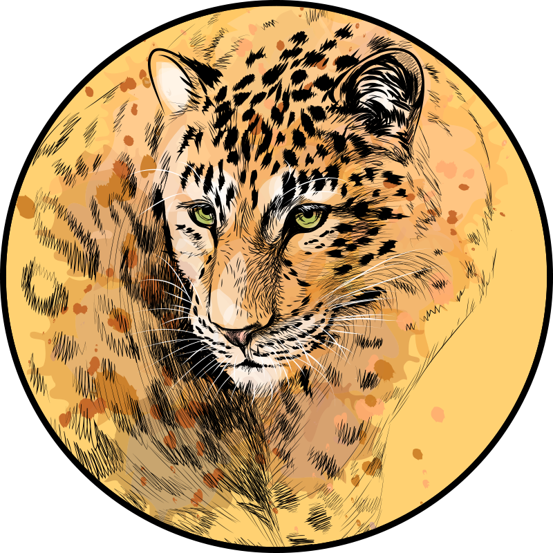 Tapete vinílico de animais cara de leopardo - TenStickers