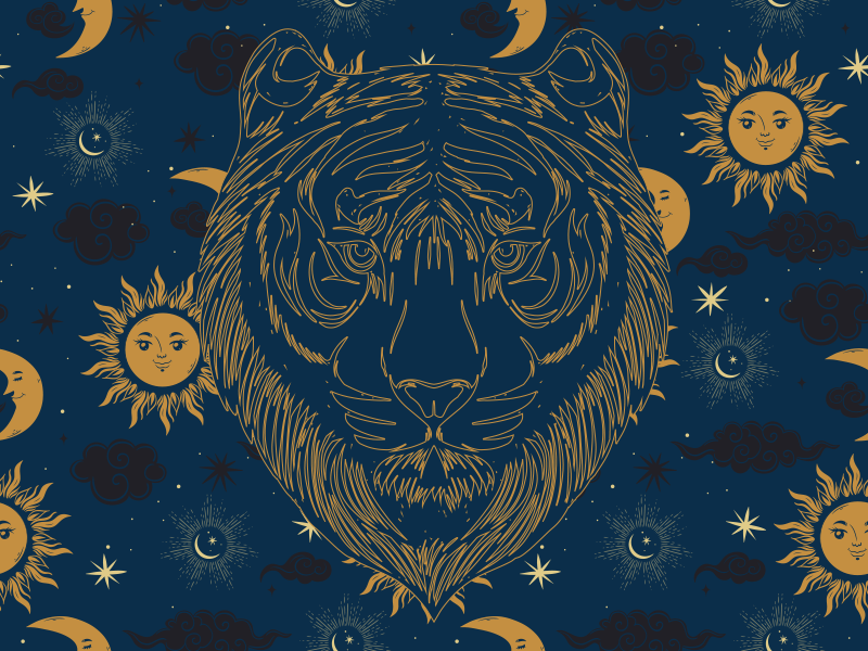 Tapete vinílico estampa de animal tigre e sóis - TenStickers