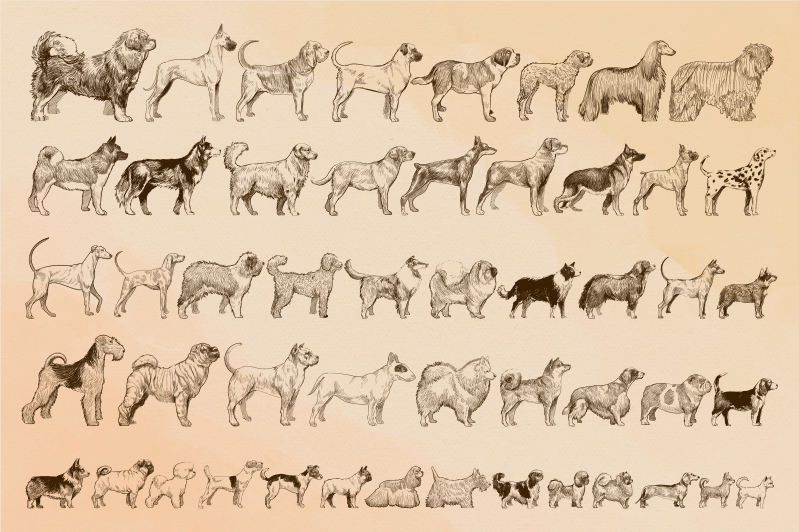 Tapete vinílico de animais ilustrações de cachorro bege - TenStickers