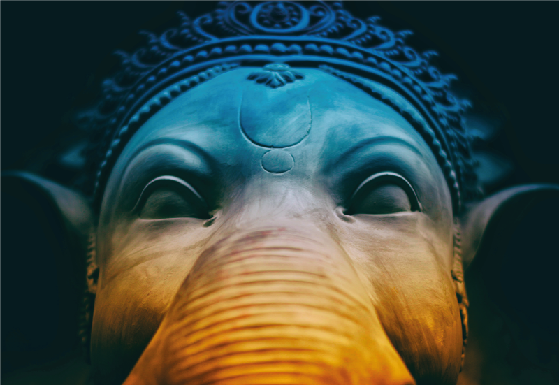 Tapete vinílico etnicas rostos de elefantes etéreos - TenStickers