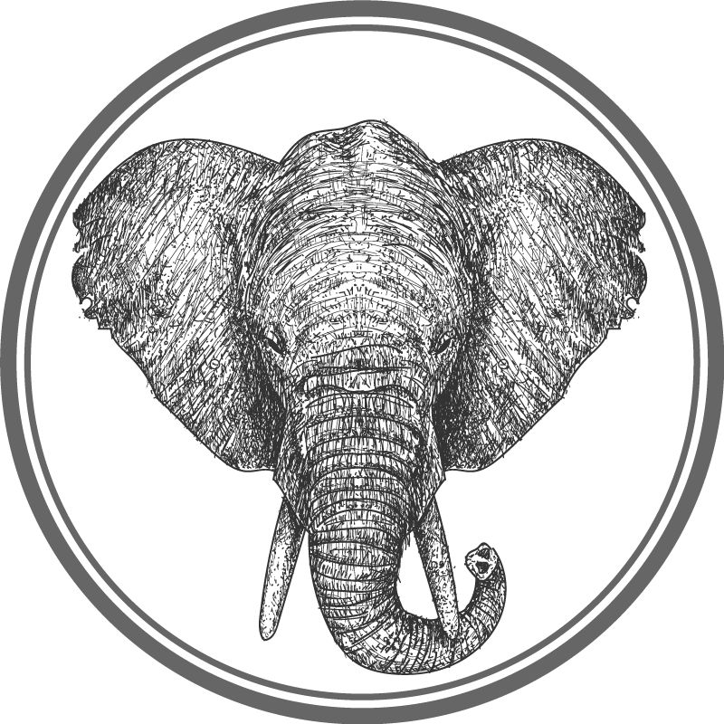 Tapete de vinil com estampa animal de elefante cinza - TenStickers
