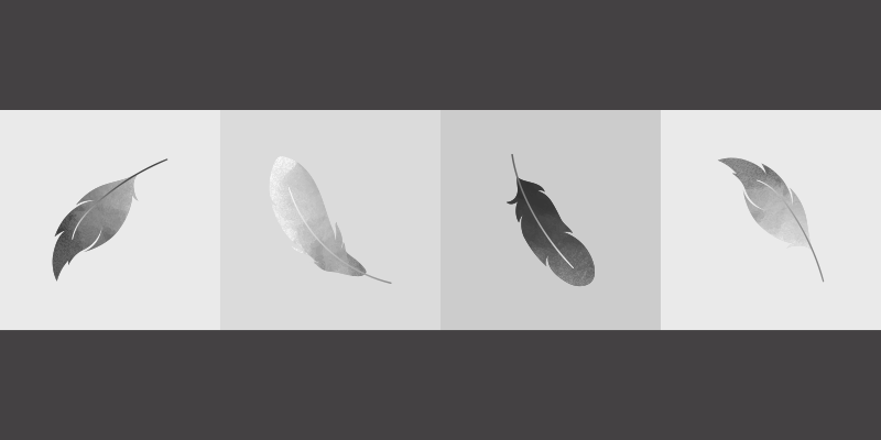 Tapete vinílico de animais minimalismo de penas - TenStickers